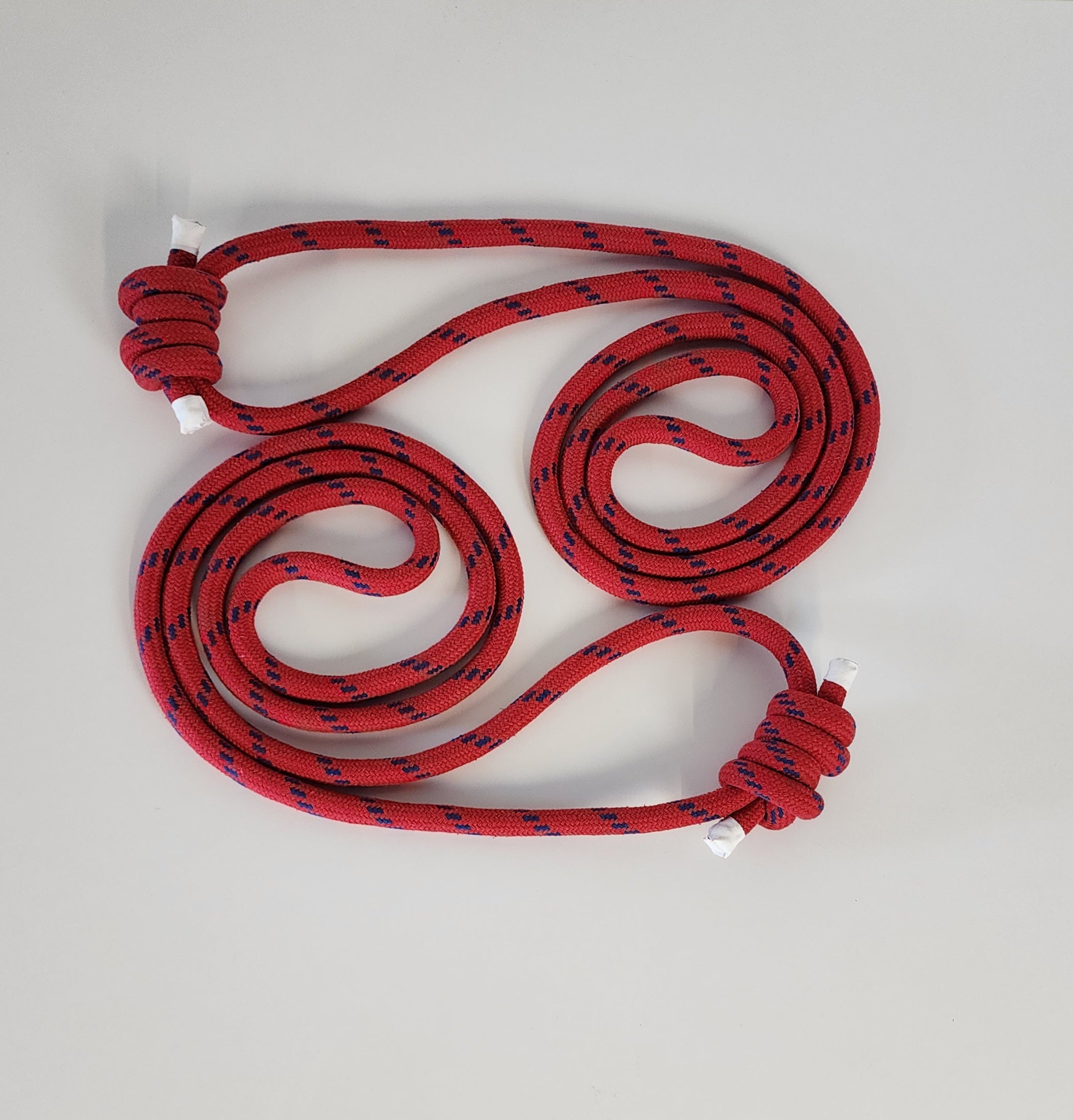 Validator 2 Rope Ropes (set of 2) – Prop Shop