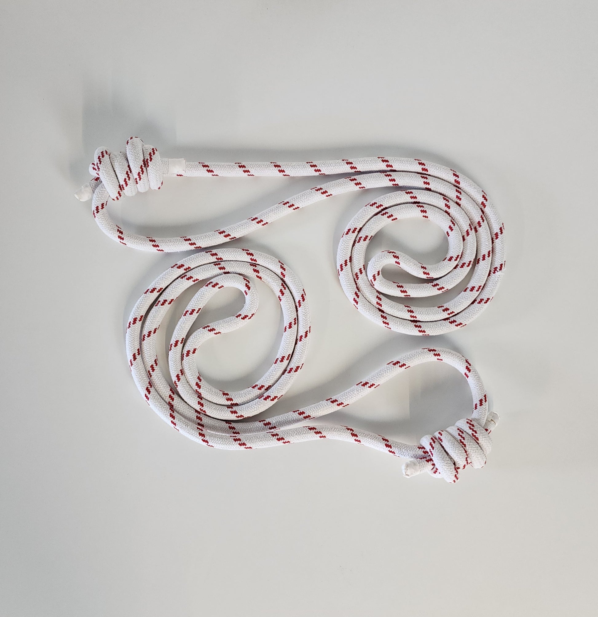 Ropes (set of 2) – Prop Shop